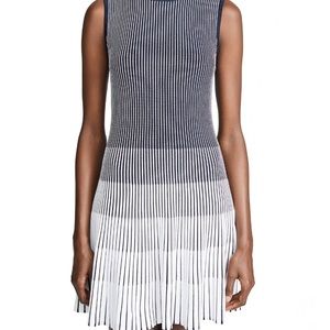 NWT Shoshanna ladley dress XS